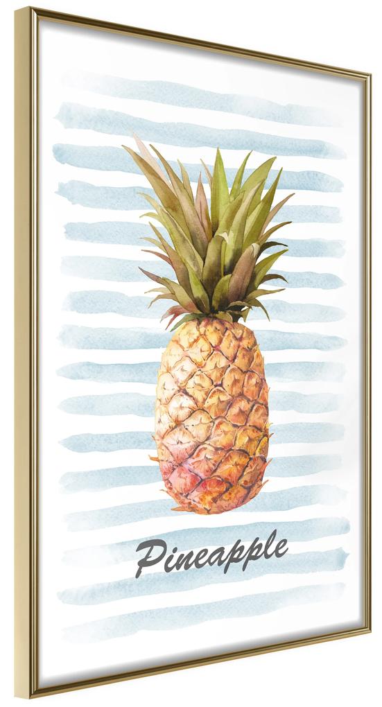 Artgeist Plagát - Pineapple and Stripes [Poster] Veľkosť: 30x45, Verzia: Zlatý rám s passe-partout