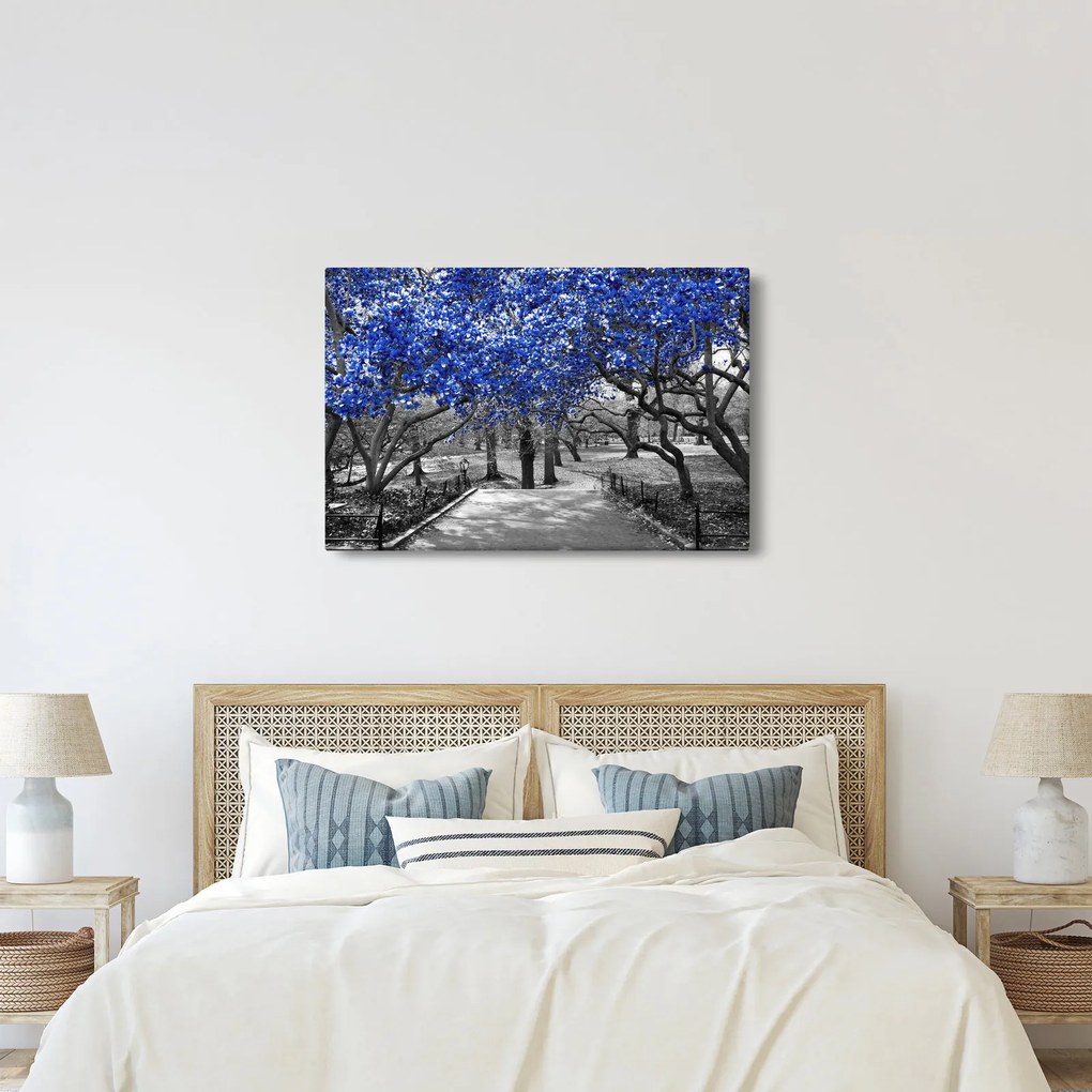 Obrázok - Modré stromy, Central Park, New York (90x60 cm)
