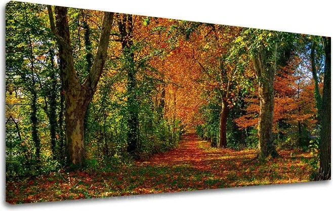 Obraz na stenu PANORÁMA STROMY ST033E13