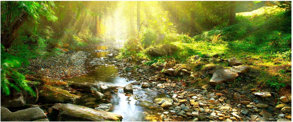 Obraz rieky v zelenom lese (120x50 cm)