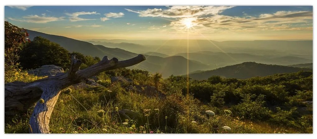 Obraz - Výhľad do okolia (120x50 cm)