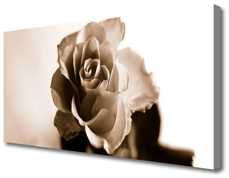 Obraz na plátne Ruže kvet 140x70cm