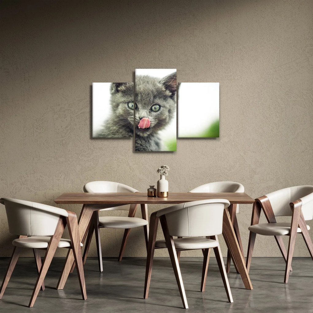 Obraz oblizujícího sa mačiatka (90x60 cm)