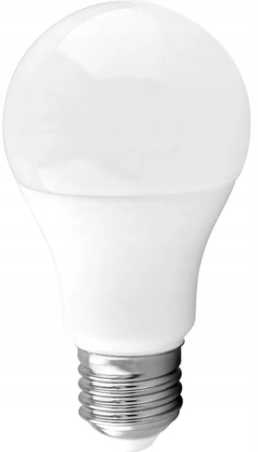 ECOLIGHT LED žiarovka E27 10W 24V - studená biela