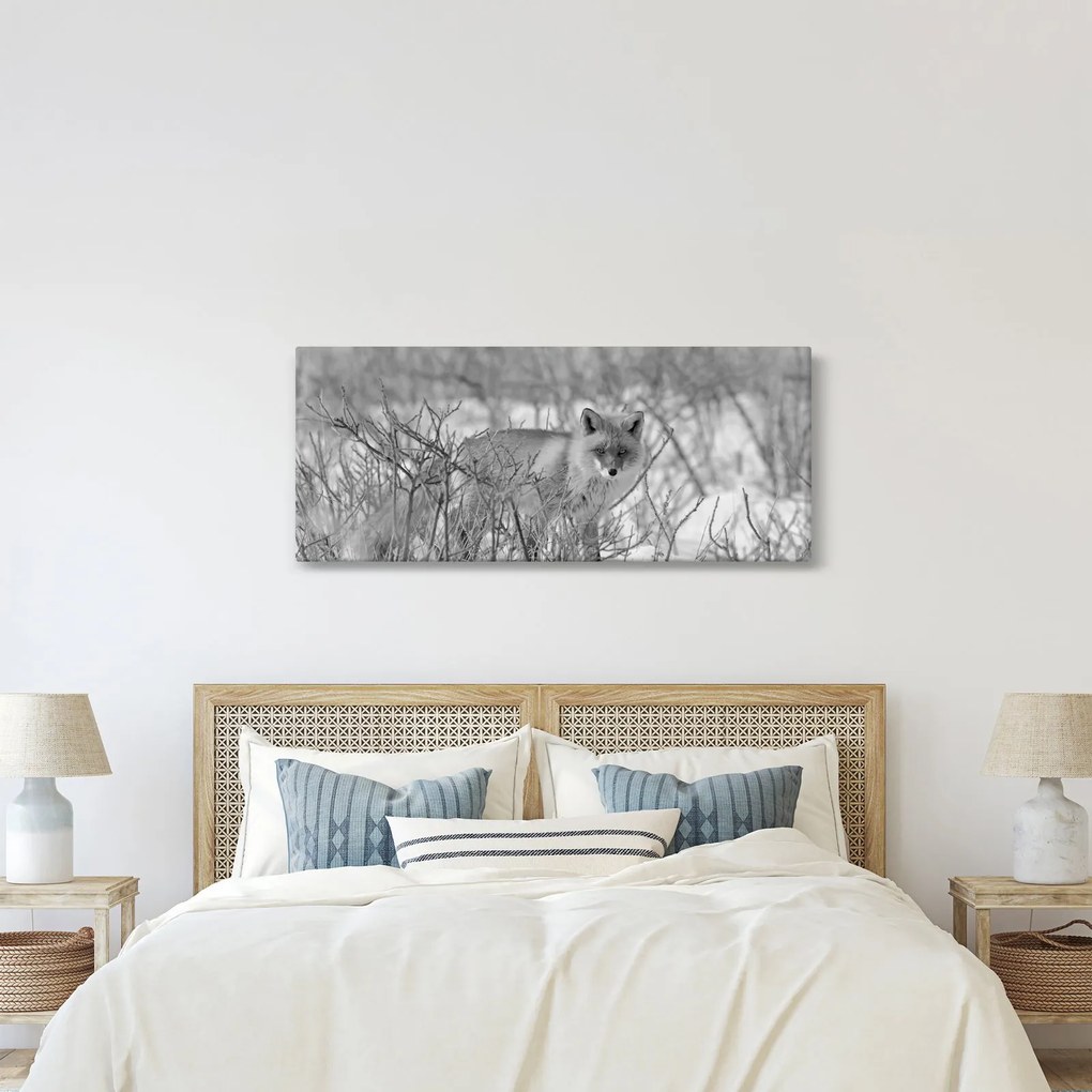 Obraz - Lišiak, čiernobiela (120x50 cm)