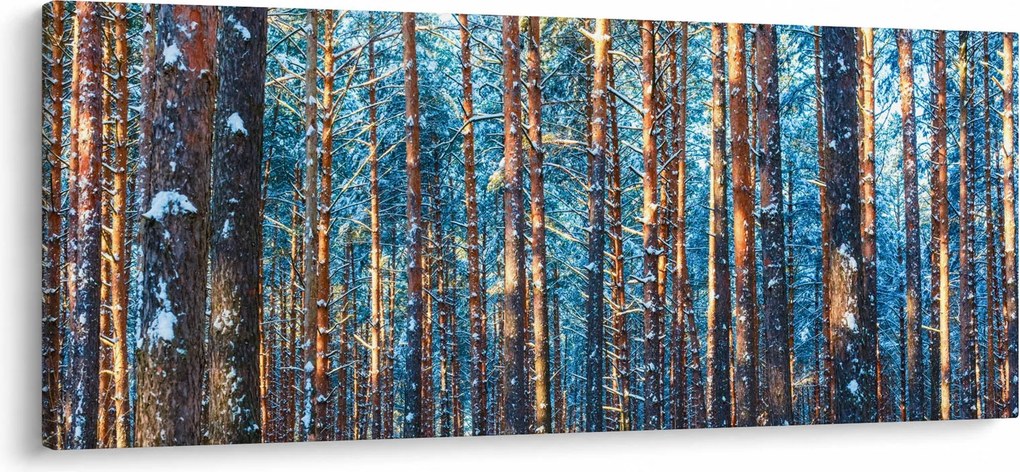 Obraz - Zimný les (120x50 cm)