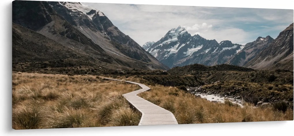Obraz - Chodník v údolí hory Mt. Cook (120x50 cm)
