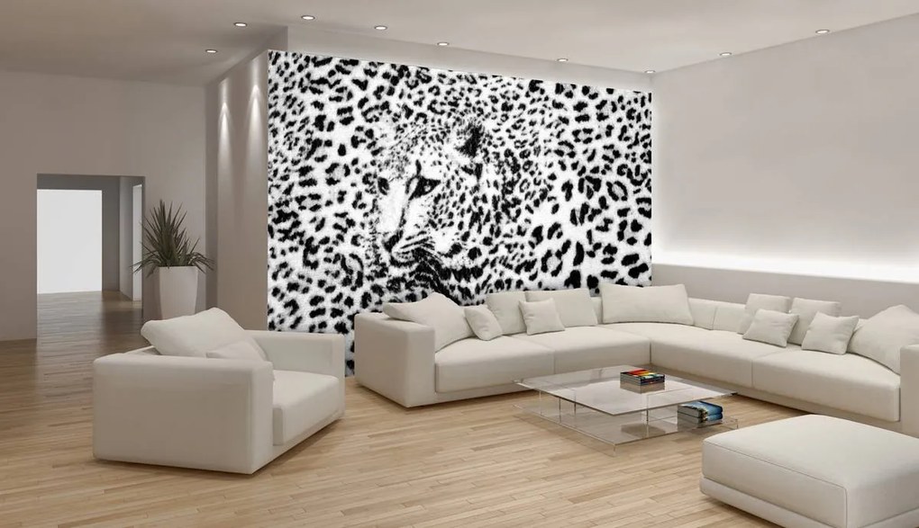 Fototapeta - Čiernobiela - gepard (254x184 cm)