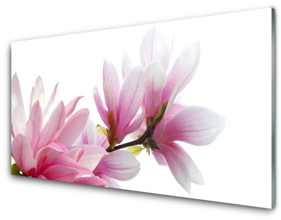Obraz na skle Magnolie kvet 120x60 cm