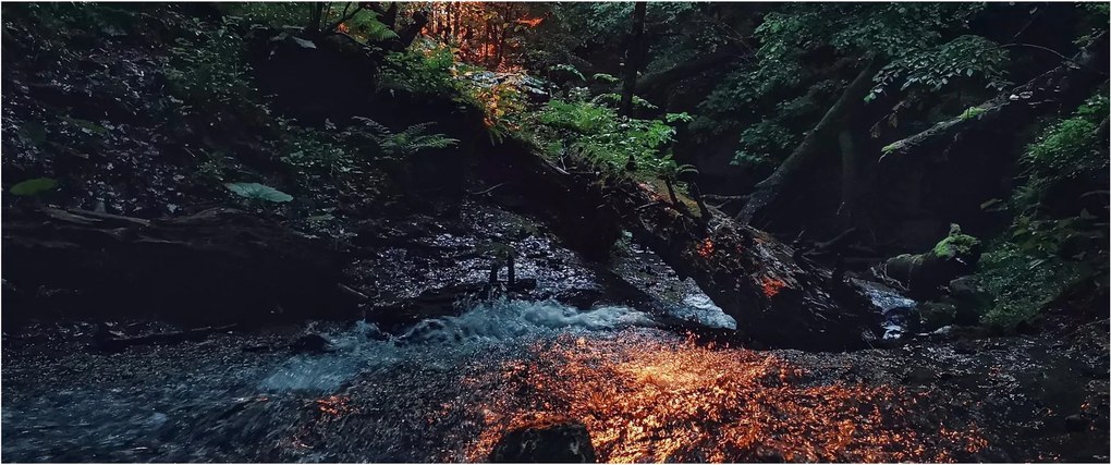 Obraz horskej riečky (120x50 cm)