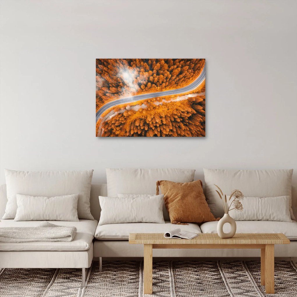 Obraz - Horská cesta (70x50 cm)