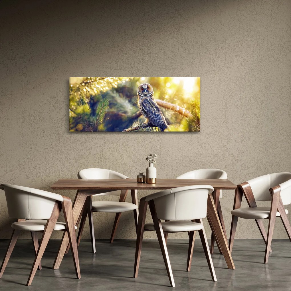 Obraz sovy na strome (120x50 cm)
