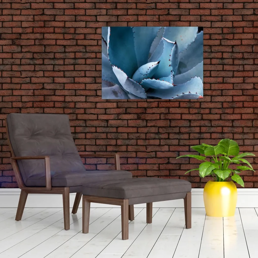 Sklenený obraz - Agáve (70x50 cm)