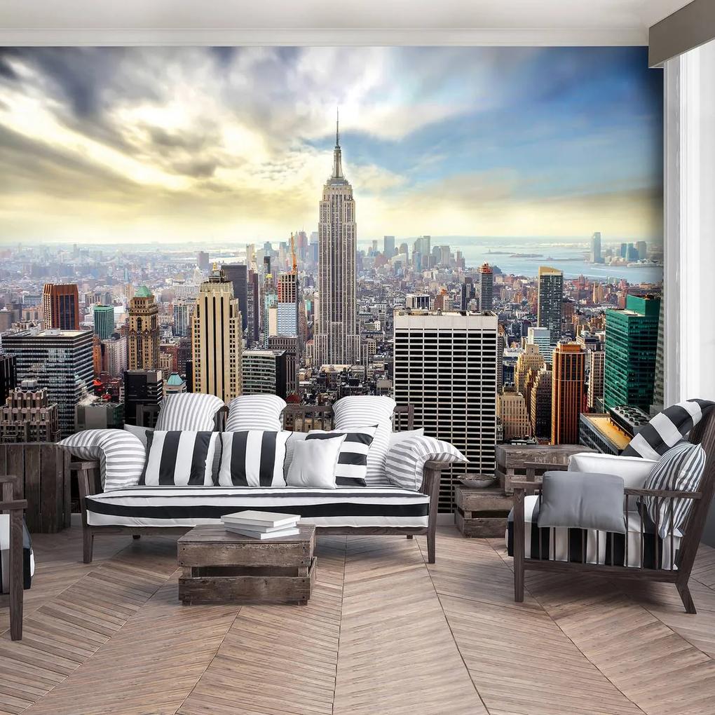 Fototapeta - New York Panorama (254x184 cm)