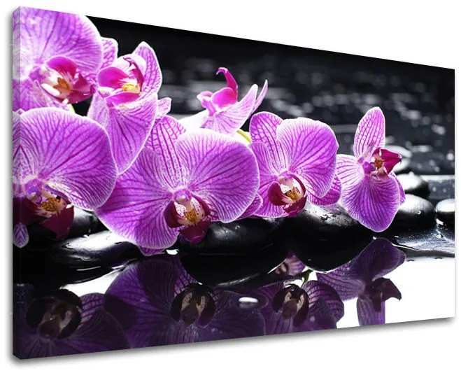 Obraz na stenu FENG SHUI 100x150 cm