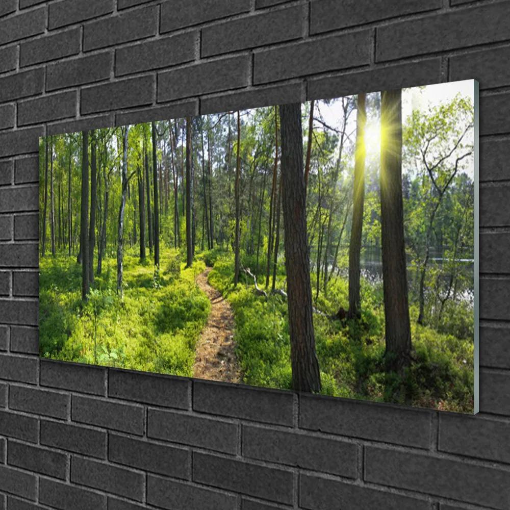 Skleneny obraz Les chodník cestička príroda 140x70 cm