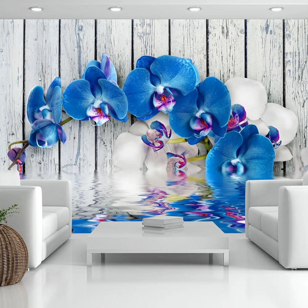 Artgeist Fototapeta - Cobaltic orchid Veľkosť: 400x280, Verzia: Premium