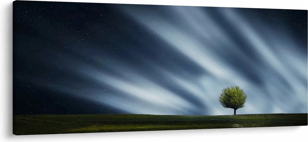 Obraz polárna žiara nad vresoviskom (120x50 cm)