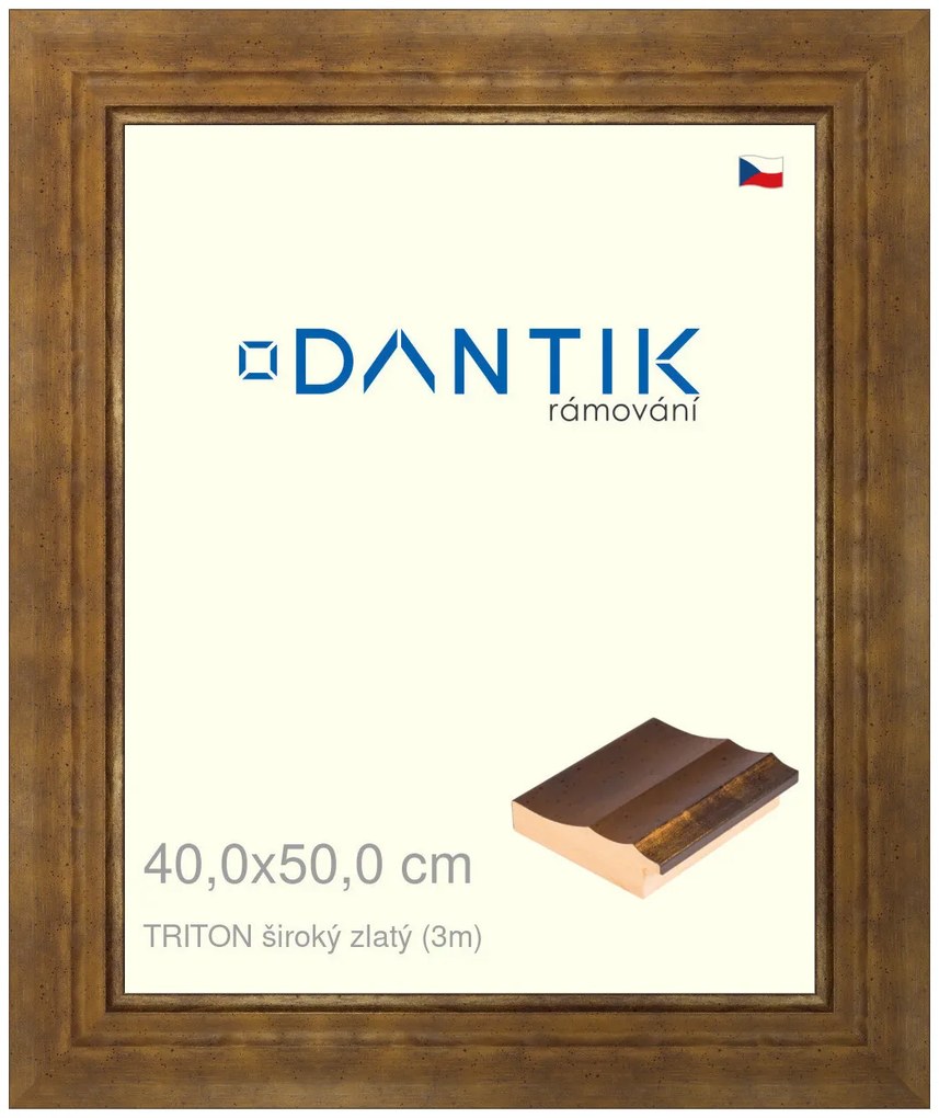 DANTIK rám na obraz 40x50 | TRITON široký zlatý (Plexi Čiré)