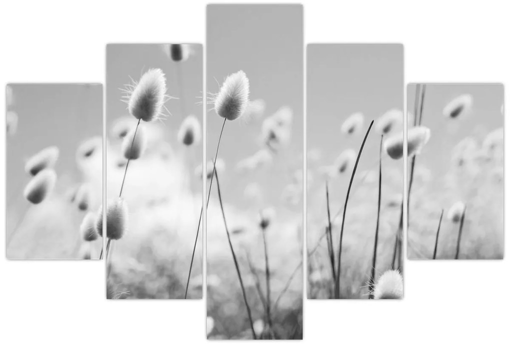 Obraz - Boho bunny tail grass (150x105 cm)