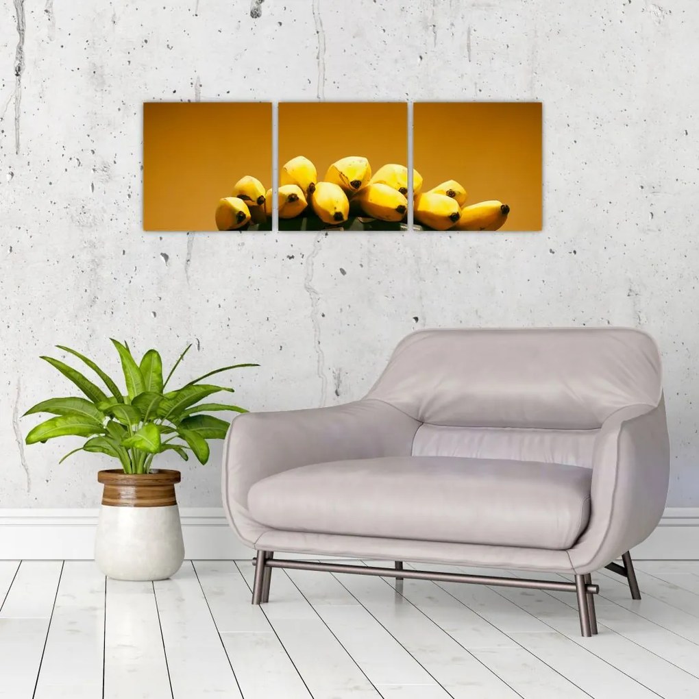 Banány na váhe - obraz na stenu
