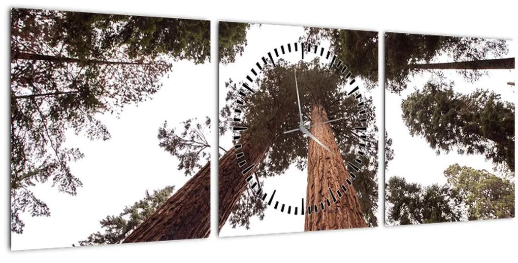 Obraz - Pohľad skrz koruny stromov (s hodinami) (90x30 cm)
