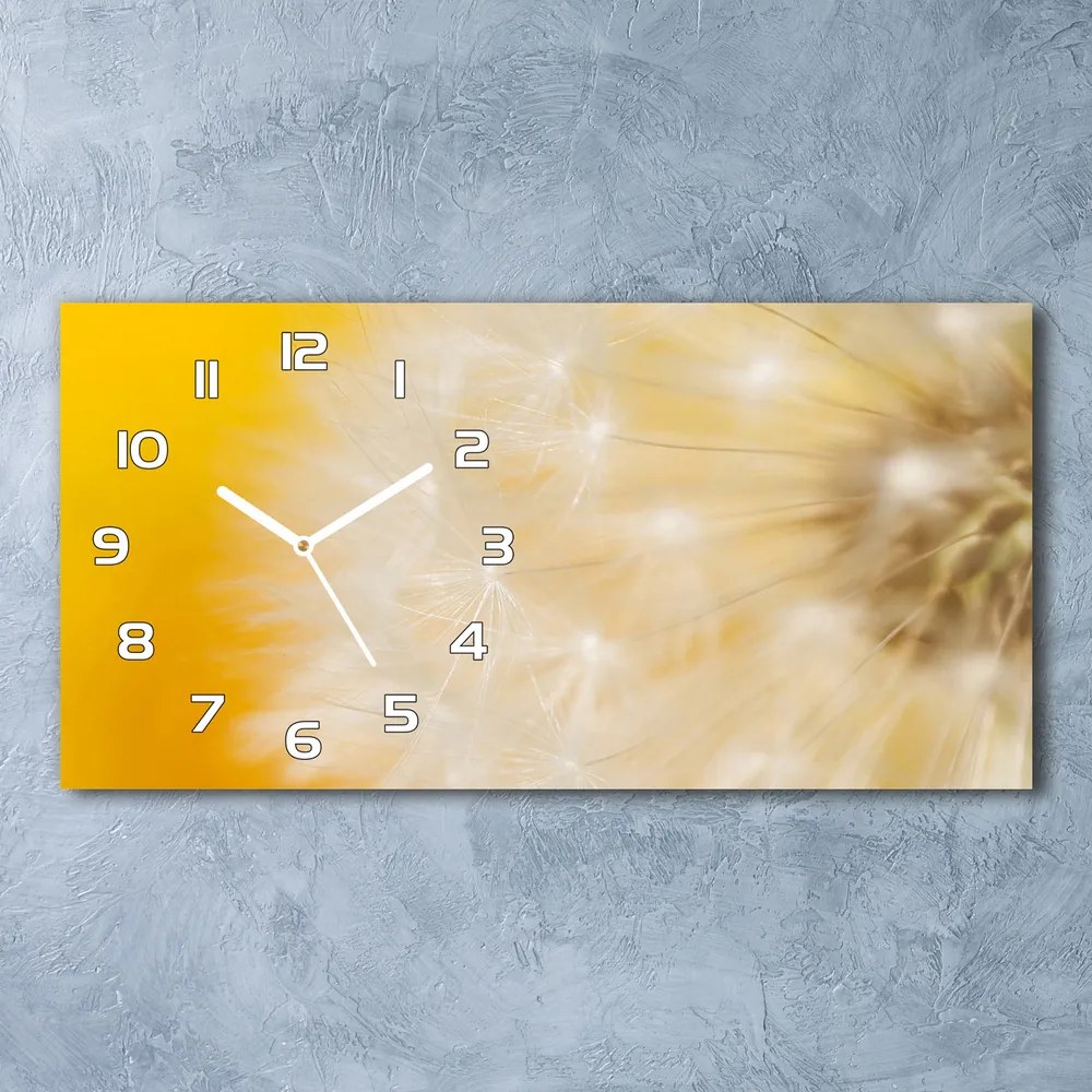 Moderné sklenené hodiny na stenu Púpava pl_zsp_60x30_f_23051782