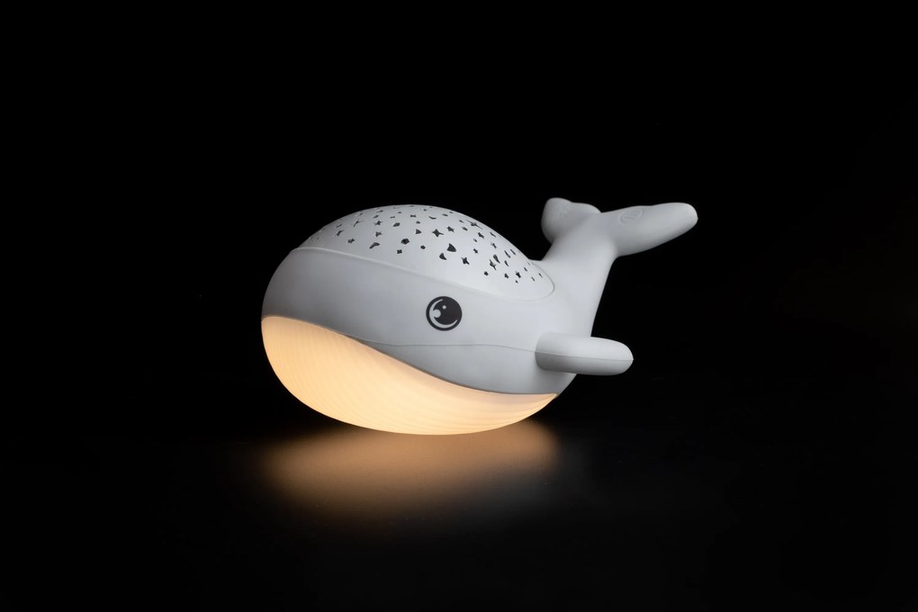 Nočné svetlo s projekciou WILLY WHALE
