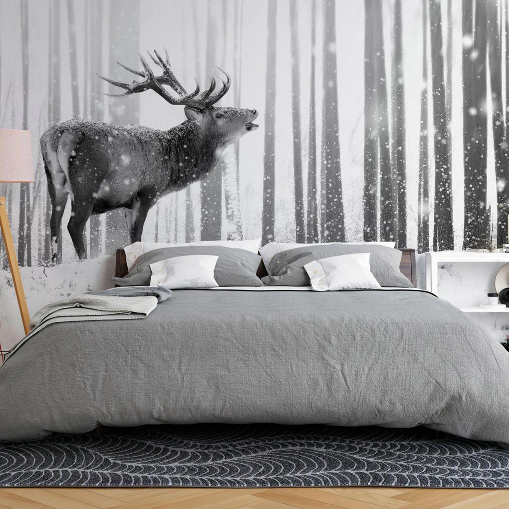 Artgeist Fototapeta - Deer in the Snow (Black and White) Veľkosť: 147x105, Verzia: Samolepiaca
