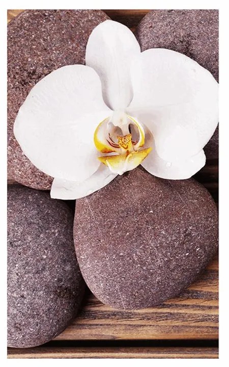 Plagát s paspartou wellness kamene a orchidea na drevenom pozadí - 30x45 silver
