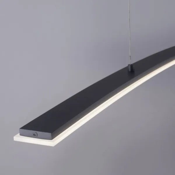 Paul Neuhaus 2530-13 - LED Stmievateľný luster na lanku JANINA LED/27W/230V