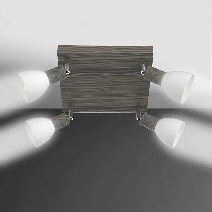 Stropné bodové svietidlo 4011 LS4