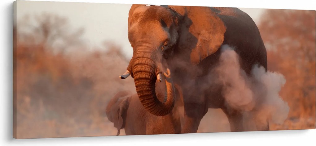 Obraz - Veľký slon africký (120x50 cm)