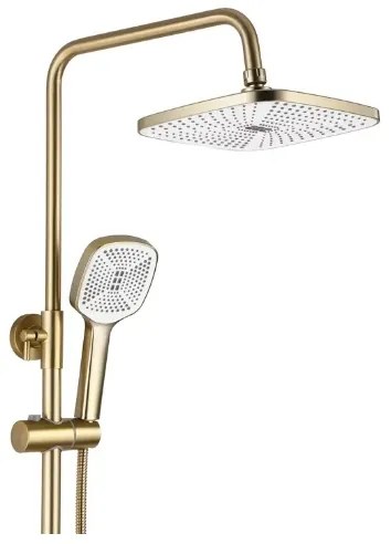 REA-P7841 - Sprchová súprava s batériou ARGUS, brúsené zlato