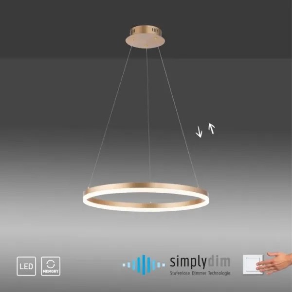 Paul Neuhaus 2382-60 - LED Stmievateľný luster na lanku TITUS LED/38,5W/230V