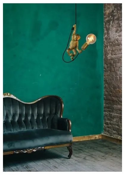 Lucide 10202/01/30 - Nástenné svietidlo EXTRAVAGANZA CHIMP 1xE27/60W/230V