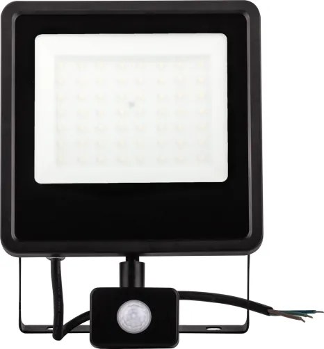 LED Vonkajší reflektor so senzorom LED/100W/230V 4000K IP65 čierna