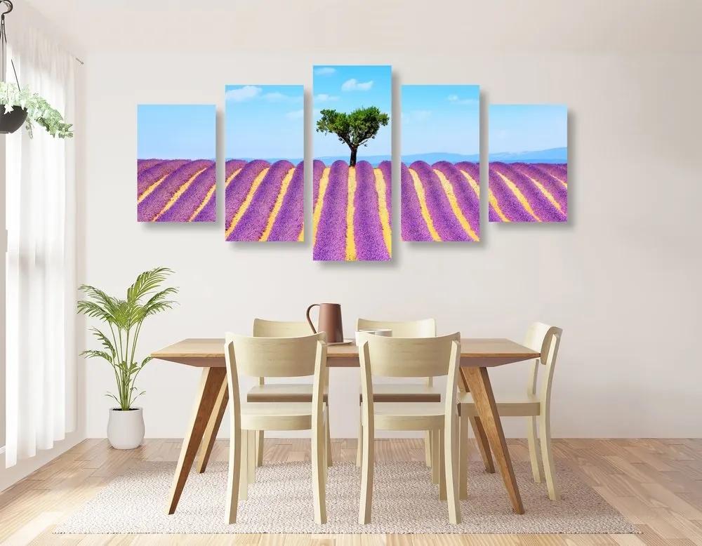 5-dielny obraz provensálske levanduľové pole - 100x50