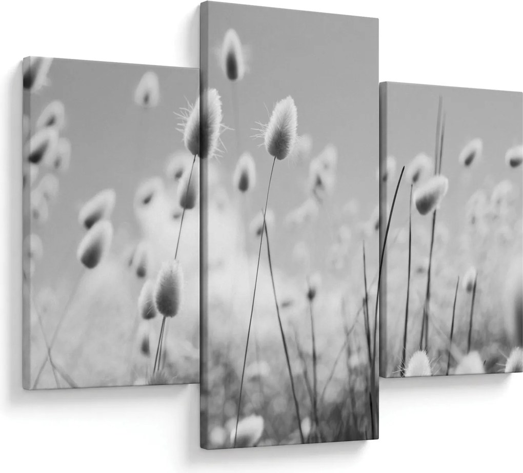 Obraz - Boho bunny tail grass (90x60 cm)
