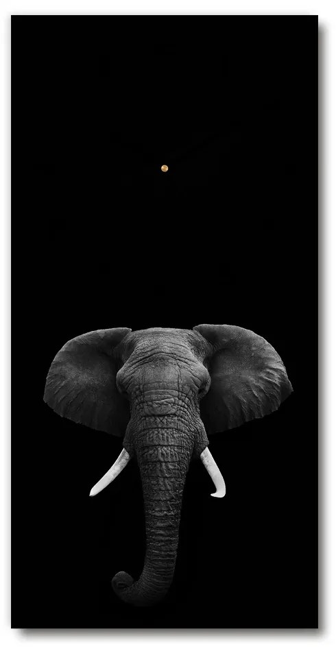 Nástenné hodiny tiché Africký slona pl_zsp_30x60_c-f_49228540