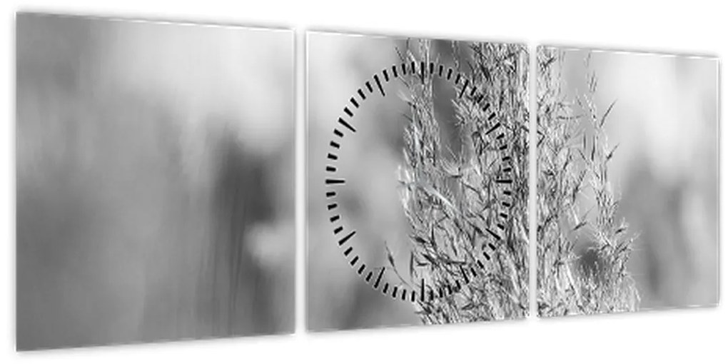 Obraz - Boho pampas grass (s hodinami) (90x30 cm)