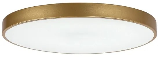 Rabalux 71038 - Stmievateľné LED stropné svietidlo TESIA LED/60W/230V 3000-6000K + diaľkový ovládač