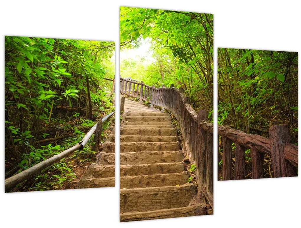 Obraz - Schody v prírode (90x60 cm)
