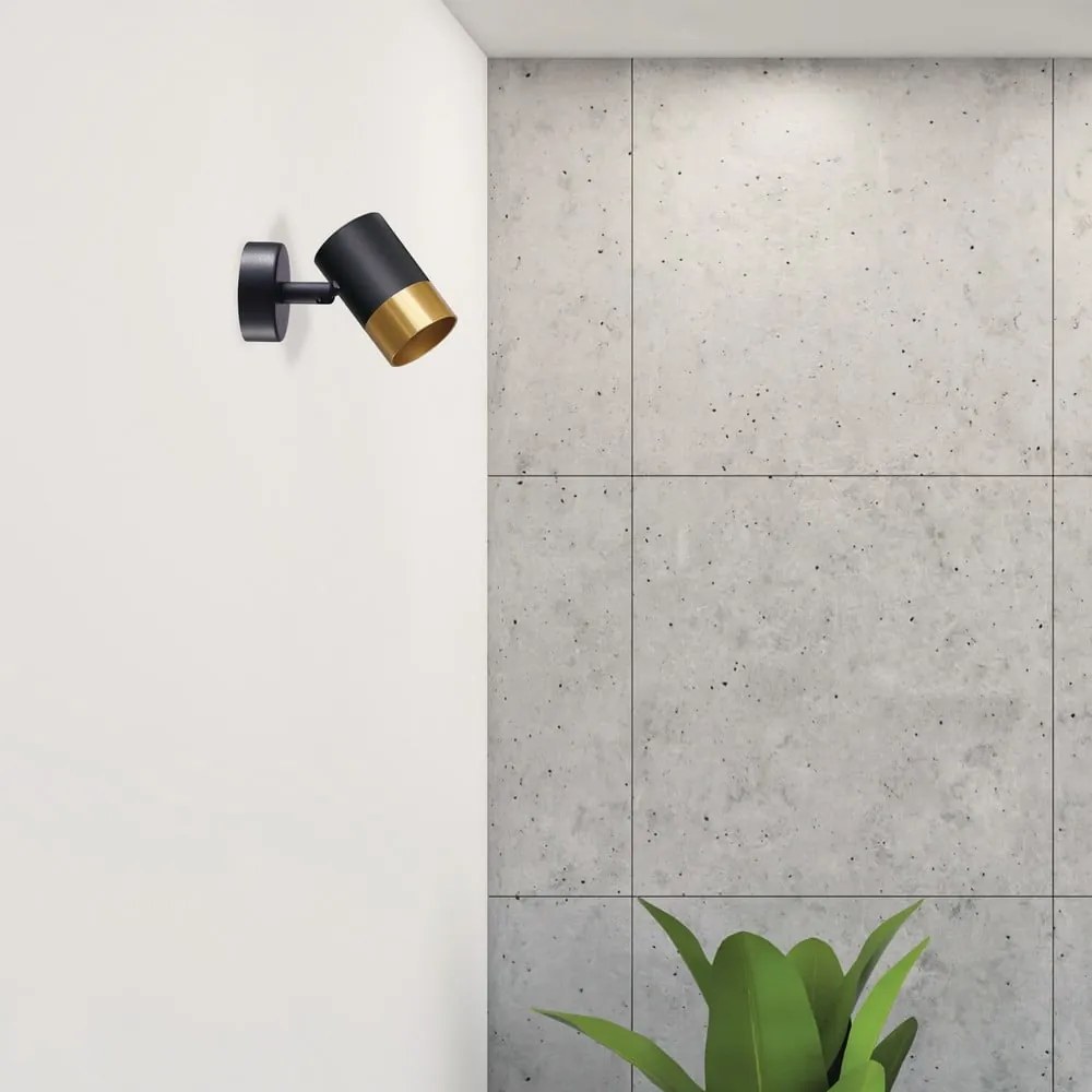 Nástenné svietidlo v čierno-zlatej farbe Tobi - Candellux Lighting