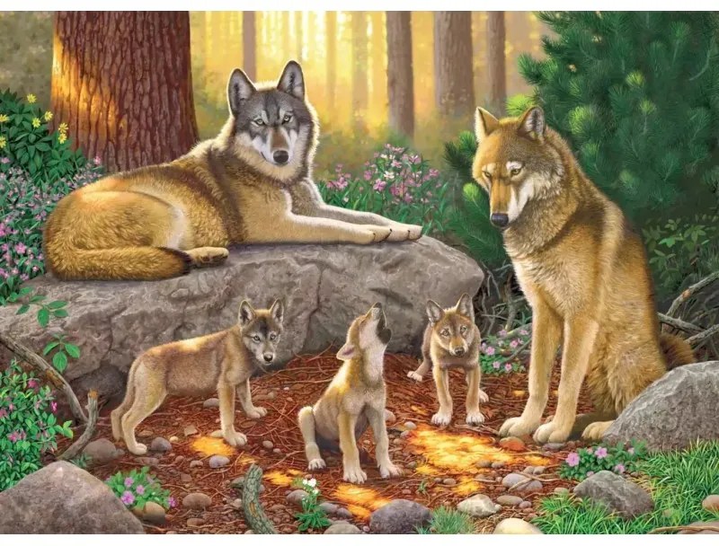 784476 NORIMPEX 5D Diamantová mozaika - Vlčí potomkovia