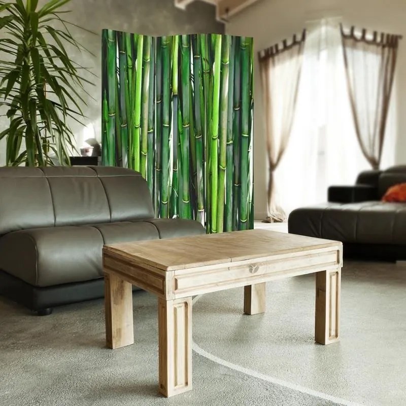 Gario Paraván Bambus Rozmery: 180 x 170 cm, Prevedenie: Klasický paraván