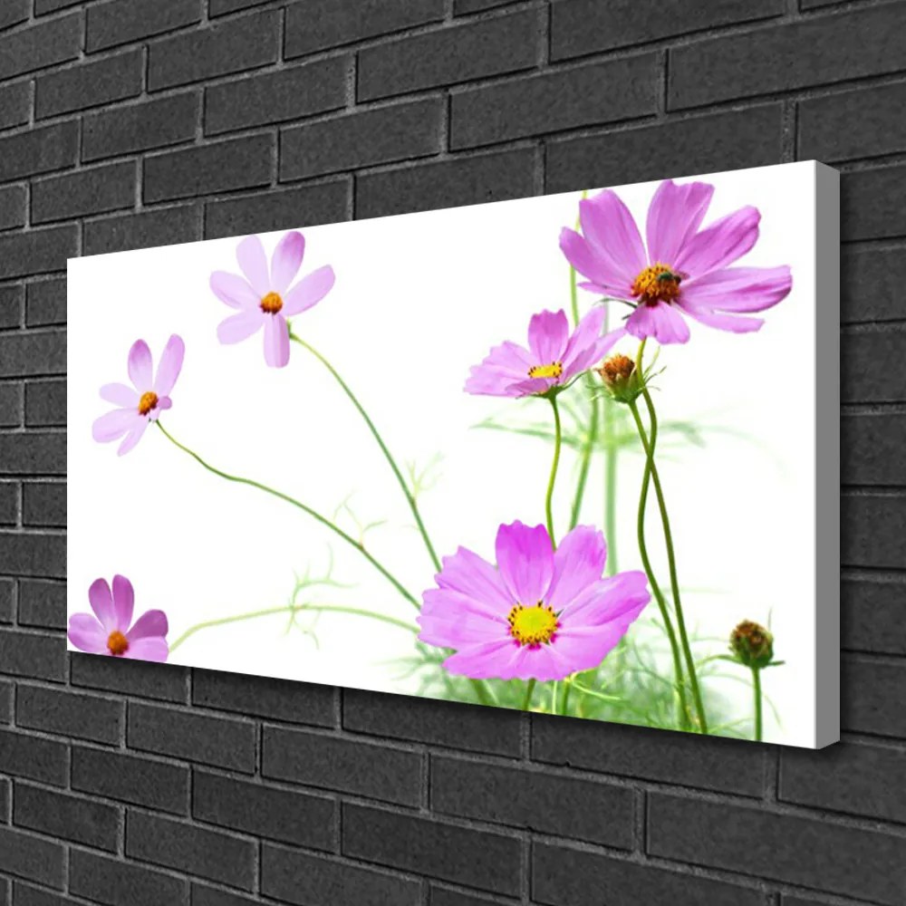 Obraz na plátne Kvety rastlina 125x50 cm
