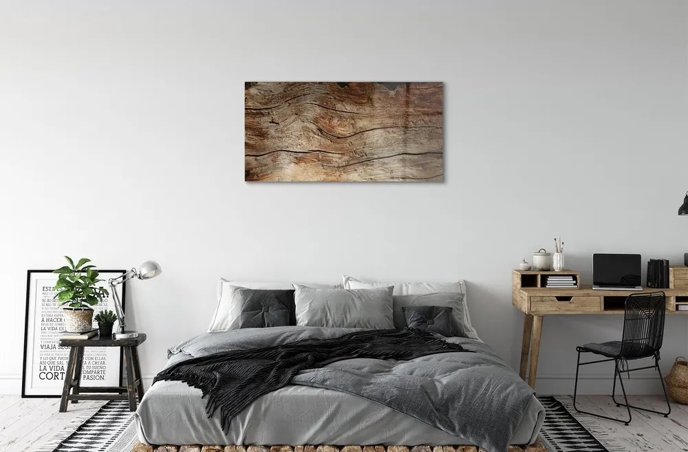 Obraz na skle dreva board 120x60 cm