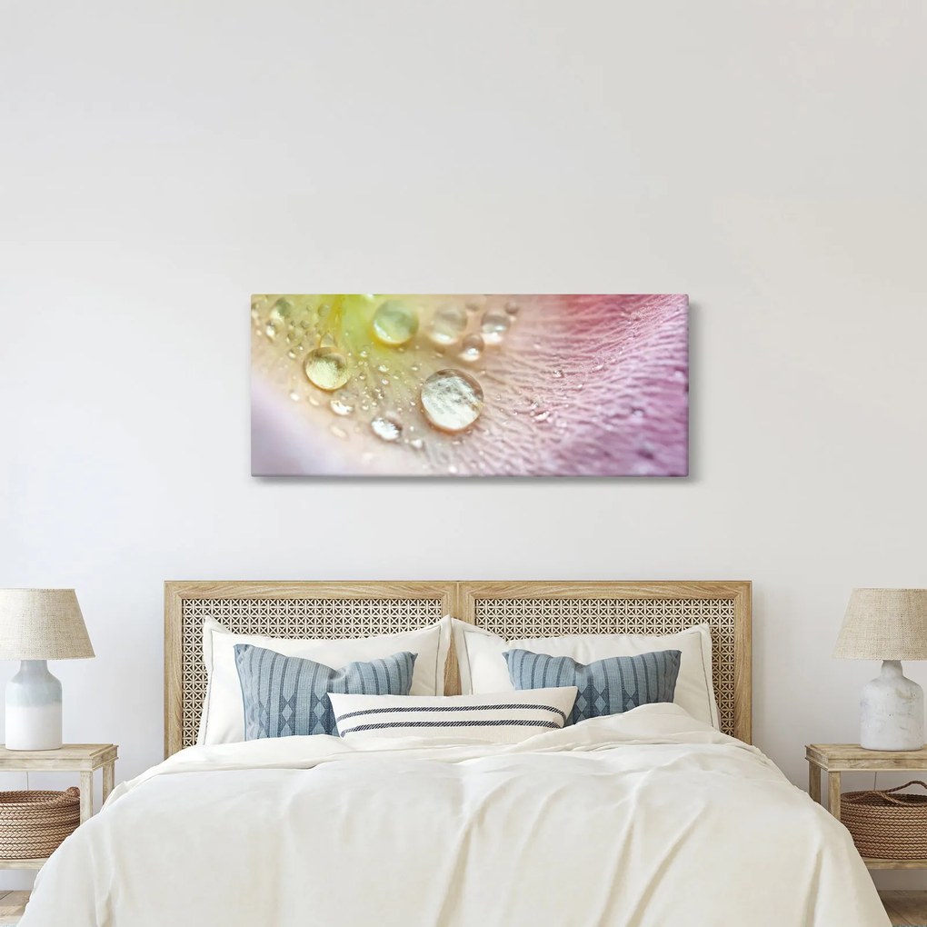 Obraz - Kvapky rosy (120x50 cm)