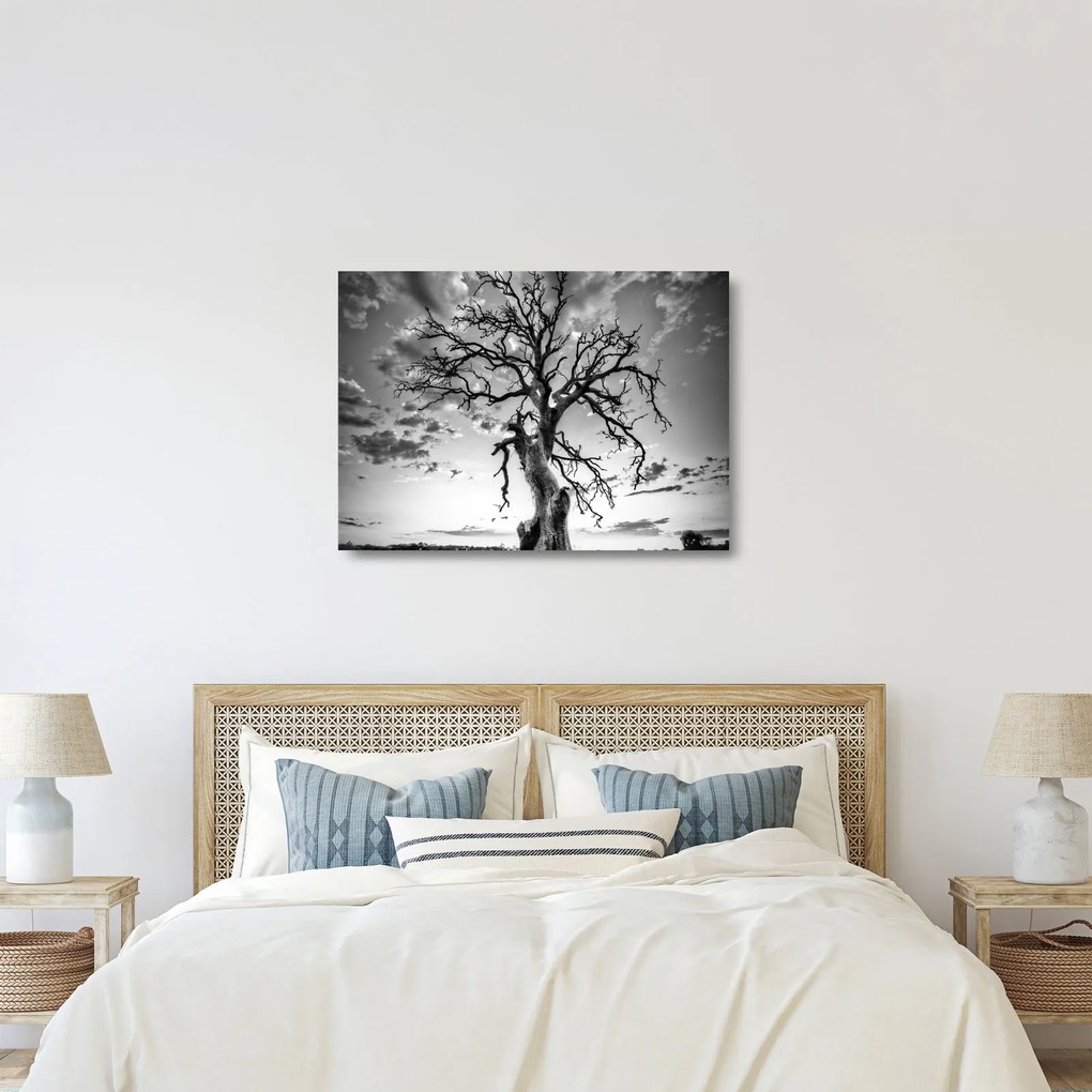 Sklenený obraz - Čiernobiely strom (70x50 cm)